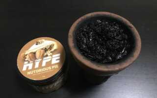Hype — Nutorious Pie (Песочный ореховый пирог)