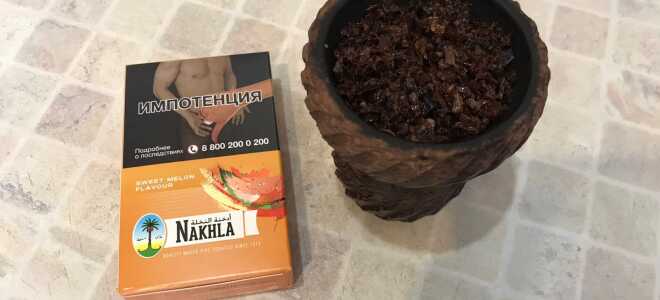 Nakhla (New) — Sweet melon (Сладкая дыня)